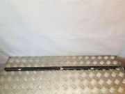 Fensterleiste Tür vorne links NISSAN PRIMERA (P12) 1.9 dCi