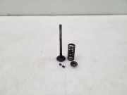 Auslassventil Nissan Qashqai (J10)