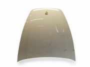 Motorhaube PORSCHE CAYENNE (92A) 4.8 Turbo