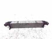 Ladeluftkühler MERCEDES-BENZ S (W221) S 350 BlueTec (221.026, 221.126) A2215005400