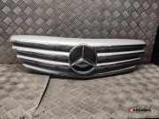 Ziergitter Mercedes-Benz B-Klasse Sports Tourer (W245) 1698800783