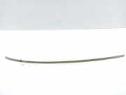 Dachleiste links BMW 5 Gran Turismo (F07) 530 d