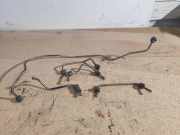 KRAFTSTOFFVERTEILER EINSPRITZLEISTE VERTEILERROHR RENAULT LAGUNA II (BG0/1_) 2.2 dCi (BG0F)