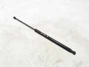 Heckklappe Gasdruckfeder rechts RENAULT SCÉNIC IV (J9_) 1.6 dCi 130 904507114R