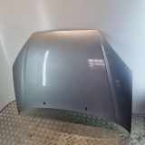 Motorhaube Ford Focus Turnier (DNW)