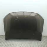 Motorhaube VW AMAROK (2H_, S1B) 2.0 BiTDI 4motion 2H0823033C