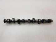 Auspuffkrümmer Seat Toledo II (1M)