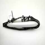 Türaußengriff hinten rechts BMW X6(G06) (G06, F96) xDrive 40 i 9881774