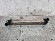 Ladeluftkühler Renault Megane III Grandtour (KZ) 144964990R