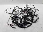 Innenkabelbaum (links) NISSAN PULSAR Hatchback (C13) 1.2 DIG-T 240103ZL4A