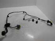 Kabelbaum CITROËN C8 (EA_, EB_) 2.2 HDi 1495597080