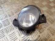 Nebelscheinwerfer links RENAULT ESPACE IV (JK0/1_) 3.0 dCi (JK0J, JK0V) 8200002470