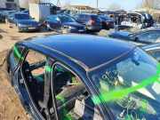 Dach BMW X1 (E84) xDrive 18 d
