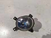Nebelscheinwerfer links AUDI A4 Avant (8ED, B7) 3.0 TDI quattro 8e0941700c