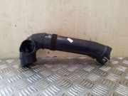 Luftansaugrohr RENAULT SCÉNIC II (JM0/1_) 1.6 (JM0C, JM0J, JM1B) 8200231859