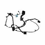 Türverkabelung hinten links FORD Escape III 2.0 EcoBoost J4CP7