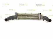 Ladeluftkühler Mercedes-Benz C-Klasse (W202) 2025001100
