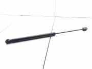 Heckklappe Gasdruckfeder links RENAULT MEGANE II (BM0/1_, CM0/1_) 1.5 dCi 8200051750