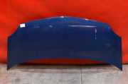 Motorhaube Renault Kangoo II Rapid (FW0)
