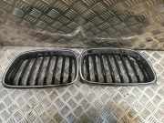 Gitter BMW 2 Coupe (F22, F87) 218 d 7295521 7295522