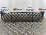 Gitter vorne unten SUZUKI GRAND VITARA II (JT, TE, TD) 1.9 DDiS 4WD (TD44, JT419, JB419WD) 7172165J0