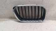 Gitter Grill vorne links BMW X5 (E53) 3.0 d 51138247674