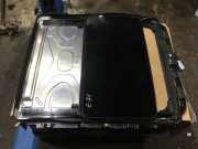 Schiebedach Glas BMW X6 (E71, E72) 7189245