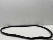 Türgummi links hinten Mercedes-Benz C-Klasse Coupe (C205) A2056970151