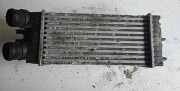 Ladeluftkühler PEUGEOT PARTNER Furgon (5) 1.9 D 4x4 874964G TA1322