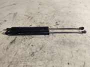 Verkabelung der hinteren Abdeckung RENAULT VEL SATIS (BJ0_) 2.0 16V Turbo (BJ0K) 8200246092