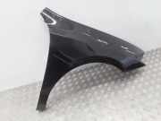 Kotflügel vorne rechts RENAULT LAGUNA Coupe (DT0/1) 2.0 dCi (DT01, DT09, DT12, DT1D) 8201006120A 1010004R