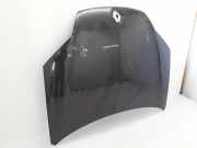 Motorhaube RENAULT LAGUNA III (BT0/1) 2.0 dCi (BT01, BT09, BT12, BT1S) 651000021R