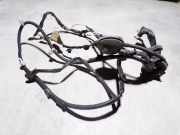 Kabelbaum NISSAN X-TRAIL (T31) 2.0 dCi 24124JG42A