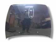 Motorhaube Volvo C30 (533)