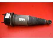 Stoßdämpfer links hinten Jaguar XJ (X350, X358) F308609102