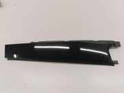 Türverkleidung links hinten Mercedes-Benz C-Klasse (W205) A2066907504