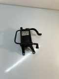 Aktivkohlefilter für Tankentlüftung BMW X5 (E70) 7164404