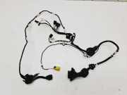 Kabel Tür Audi A6 (4F, C6) 4F1971030A