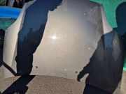 Motorhaube FIAT BRAVO II (198_) 1.9 D Multijet