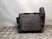 Ladeluftkühler VW PASSAT Variant B5 (3B6) 2.5 TDI 059145806