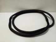 Türdichtung vorne rechts