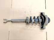 Stoßdämpfersatz Vorderachse Audi A6 Avant (4F, C6)