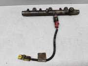 Kraftstoffzuführung CITROËN XSARA PICASSO (N68) 2.0 HDi 0445214019
