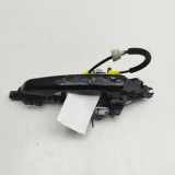 Türaußengriff hinten links LAND ROVER DISCOVERY V (L462) 3.0 D 4x4 EJ32-22400-AB