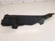 Motorabdeckung BMW X6 (F16, F86) 6439245596