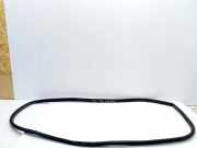 Türgummi links vorne Toyota RAV 4 IV (A4)