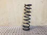 Federblatt links hinten Ford Focus IV (HN)