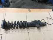 Stoßdämpfer links hinten BMW 5er (F10) 6796859