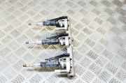 Einspritzleiste BMW 4er Coupe (F32, F82) 7639990