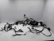 Kabel Motor Nissan Qashqai II (J11) 24012HV61A